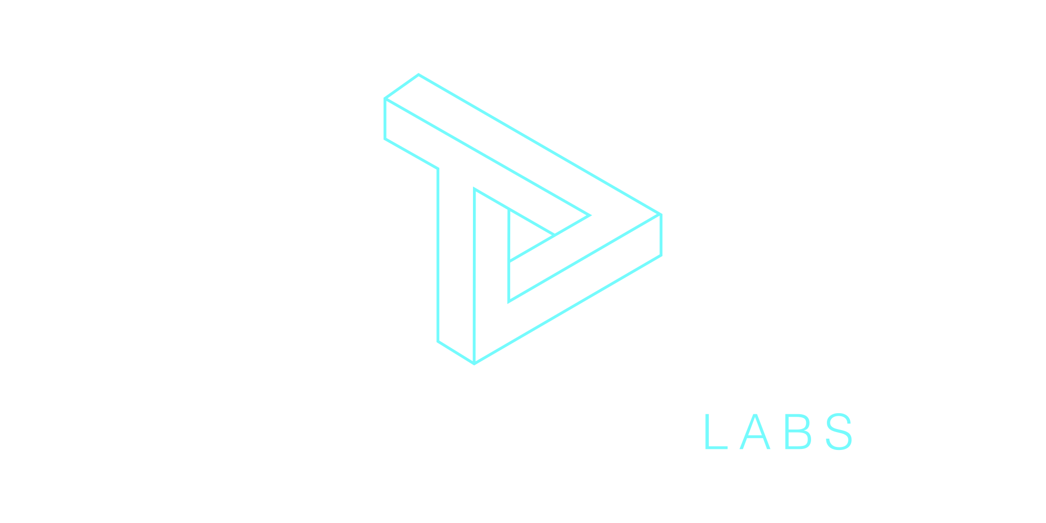 Triangularity Labs Logo